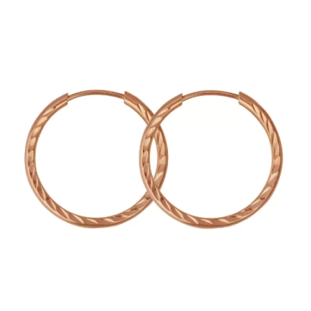 3301609-5 Серьги (Ag 925)