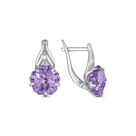 207631-001-0019 Серьги (Ag 925)