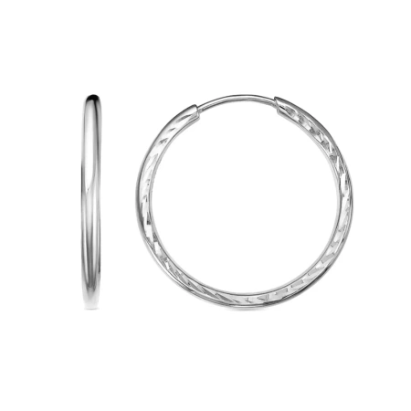 3301606Д5 Серьги (Ag 925)