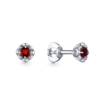 204866-006-0019 Серьги (Ag 925)