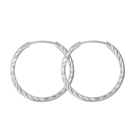 3301608б5 Серьги (Ag 925)