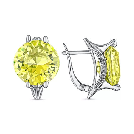 206893-041-0019 Серьги (Ag 925)