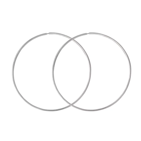 330527Д Серьги (Ag 925)