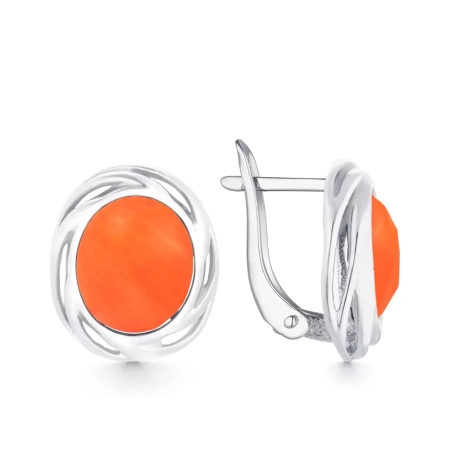 204486-257-0019 Серьги (Ag 925)