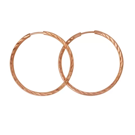 3301607-5 Серьги (Ag 925)