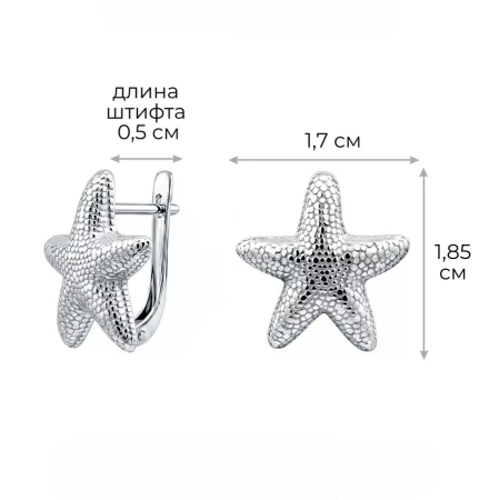 Серьги 2101842Л00245 Ag 925
