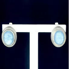 с10129 Серьги (Ag 925)