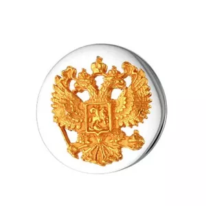 930642ж Значок (Ag 925)