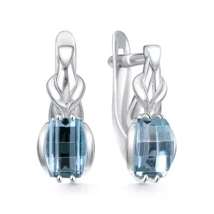 209233-002-0019 Серьги (Ag 925)