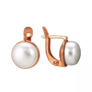 3332586 Серьги (Ag 925)