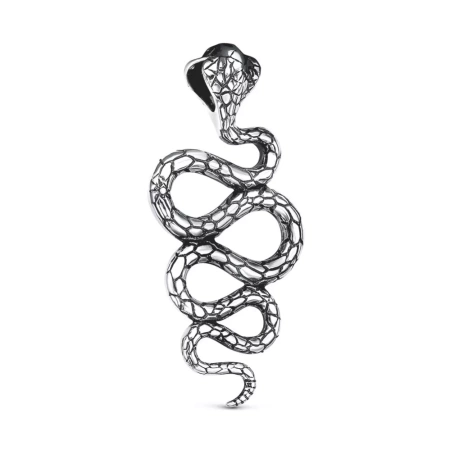 53013640 Подвеска (Ag 925) 53013640 Подвеска (Ag 925)